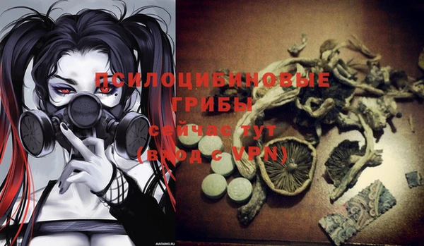 спайс Абаза