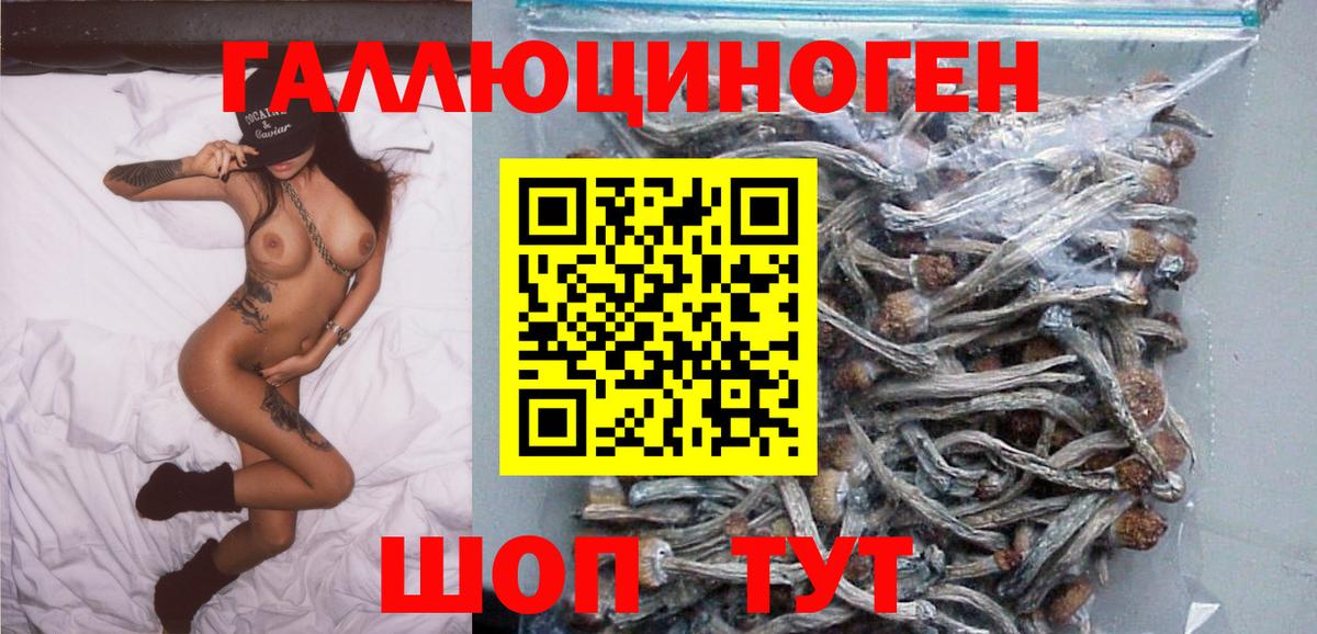 Новочебоксарск  Галлюциногенные грибы Psilocybine cubensis  Вход с VPN  Псилоцибиновые грибы ЛСД 
