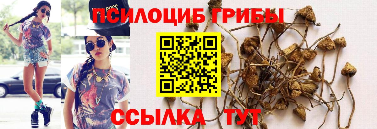 Псилоцибиновые грибы Magic Shrooms Новочебоксарск