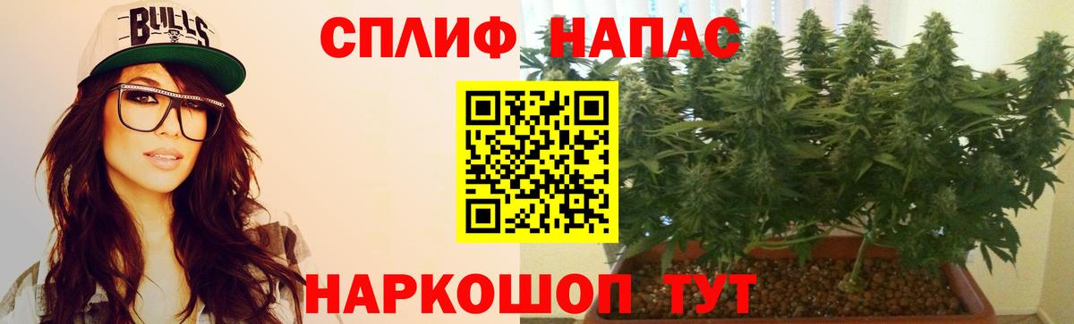 Канабис семена Новочебоксарск